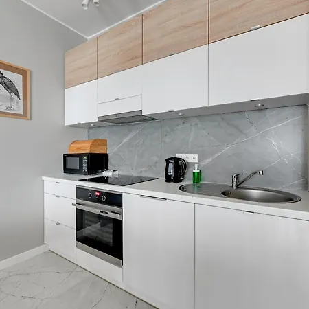 Apartment Dom & House Szafarnia Modern On The Motlawa River