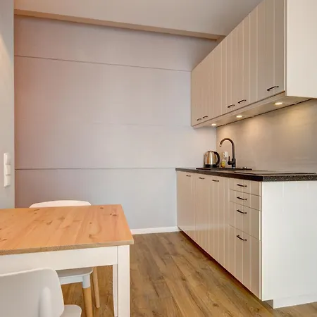 公寓 Dom & House Szafarnia Modern On The Motlawa River 格但斯克