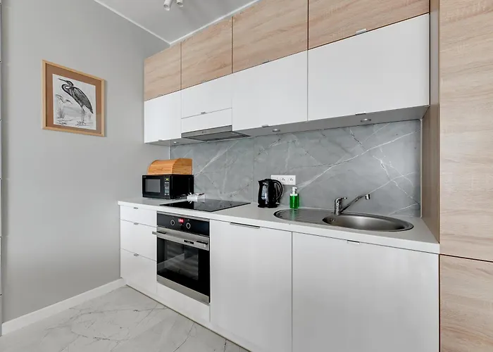 公寓 Szafarnia Luxury On The Motlawa River By Renters